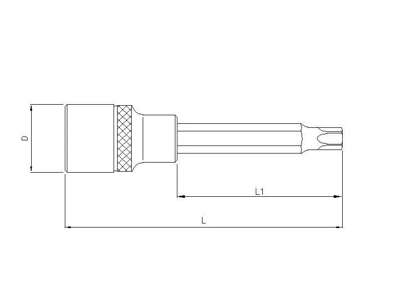 Bit socket 1/2" TX 100mmL T40